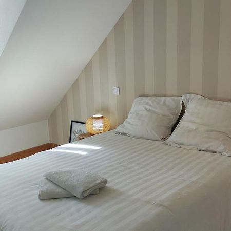 Appartement Superbe Duplex « Le Grevy » à Dole Extérieur photo