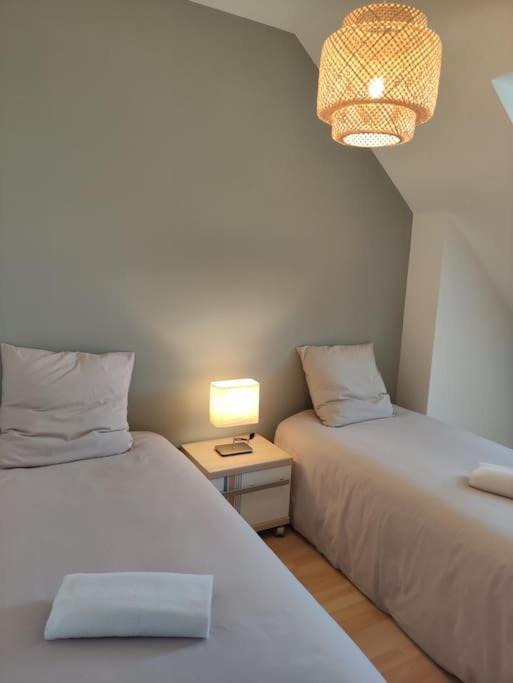 Appartement Superbe Duplex « Le Grevy » à Dole Extérieur photo