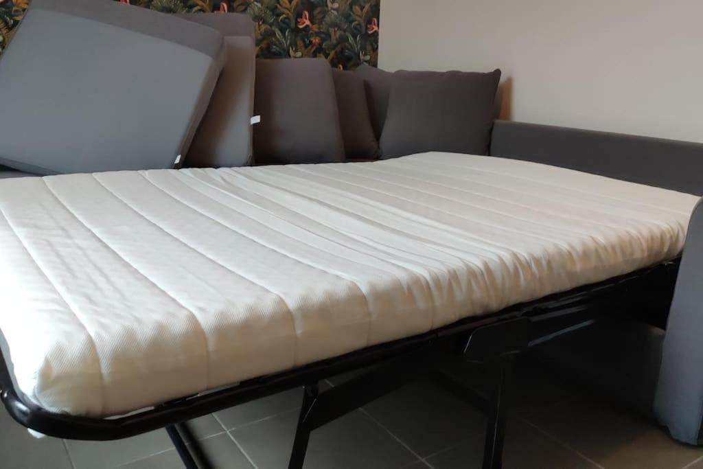 Appartement Superbe Duplex « Le Grevy » à Dole Extérieur photo